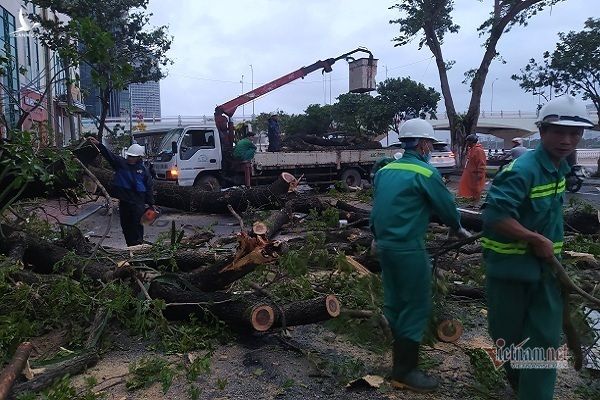 Sau bão số 9, đường phố Đà Nẵng, Quang Nam tan hoang không ngờ