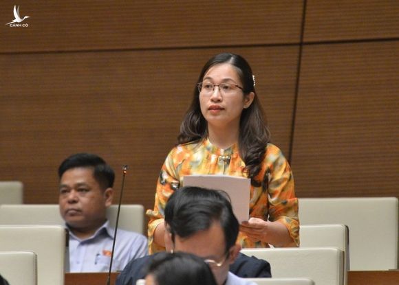 Đại biểu Quốc hội kiến nghị thu hồi SGK tiếng Việt lớp 1 bộ Cánh Diều - ảnh 1
