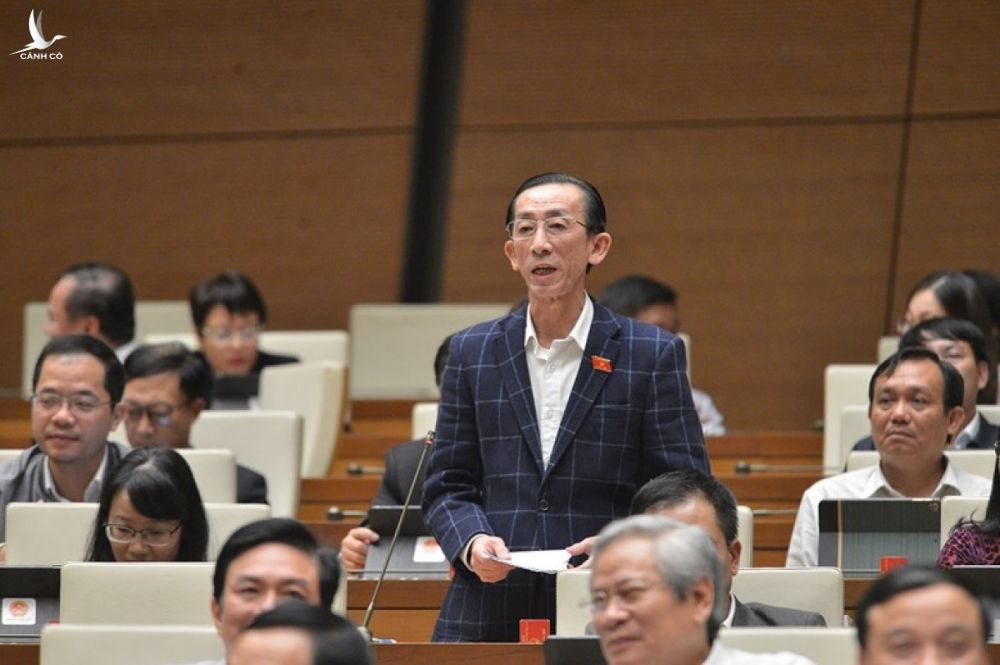 Đại biểu Trần Hoàng Ngân - Đoàn đại biểu Quốc hội TP. Hồ Chí Minh phát biểu tại phiên thảo luận.