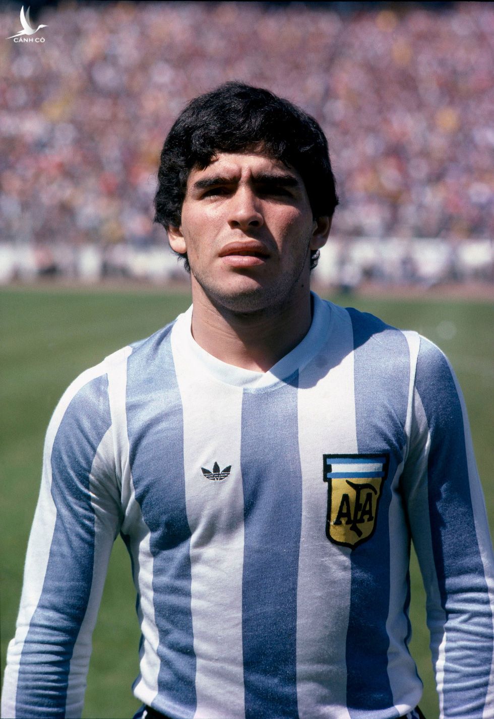 Sự nghiệp vĩ đại của Maradona qua ảnh - Ảnh 2.