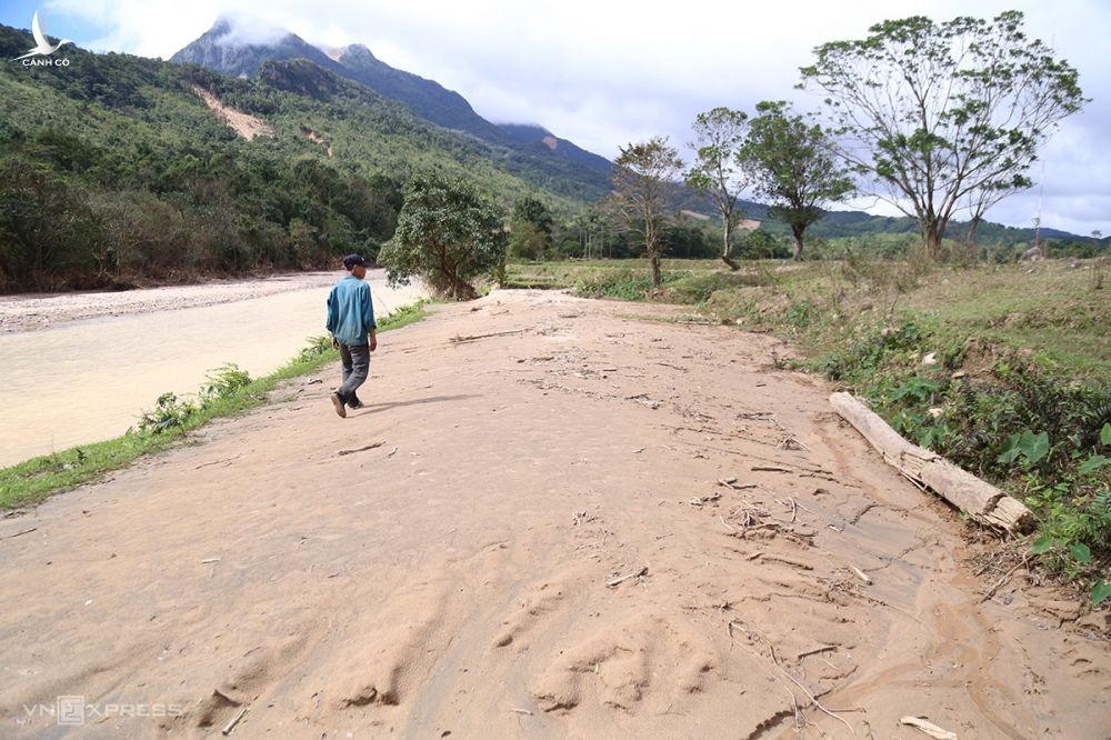 Một nông dân Quảng Trị đi trên mảnh ruộng bị bồi lấp cát khoảng 0,7m sau mưa lũ. Ảnh: Hoàng Táo