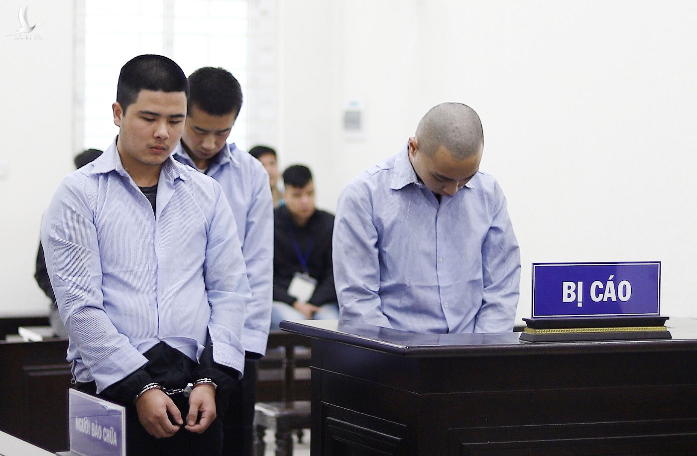 Tuyên án tử hình cả 3 người Trung Quốc giết tài xế, cướp taxi