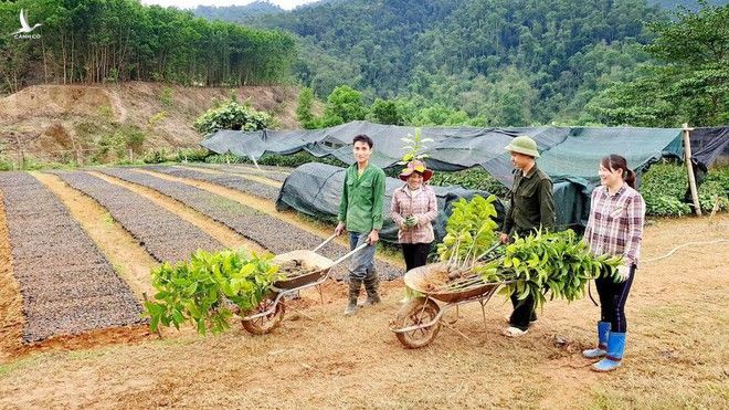 ‘1 tỉ cây xanh trong 5 năm tới ở Việt Nam’: Người trẻ cảm ơn Thủ tướng - ảnh 4