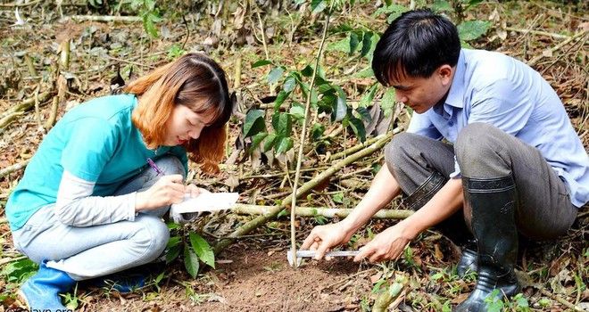 ‘1 tỉ cây xanh trong 5 năm tới ở Việt Nam’: Người trẻ cảm ơn Thủ tướng - ảnh 3