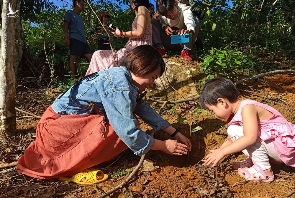 Chàng trai bỏ đại học, mua đất trồng rừng, ‘gọi’ chim về ở