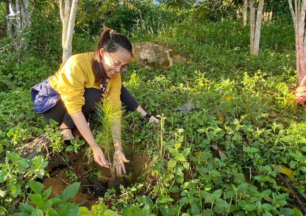 Chàng trai bỏ đại học, mua đất trồng rừng, ‘gọi’ chim về ở