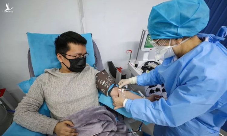 Bác sĩ (trái) đã hồi phục sau khi mắc Covid-19 đang hiến huyết tương tại một bệnh viện ở Vũ Hán, tỉnh Hồ Bắc, Trung Quốc để hỗ trợ điều trị bệnh nhân khác hồi tháng 2. Ảnh: AFP.