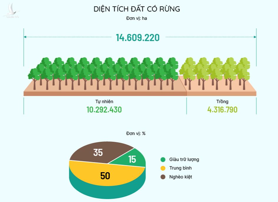 Click để xem hiện trạng rừng Việt Nam. Đồ họa: Việt Chung