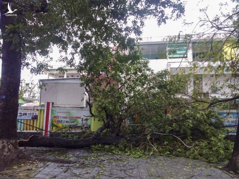 Hình ảnh về thiệt hại do bão số 13 ở Thừa Thiên - Huế - ảnh 4