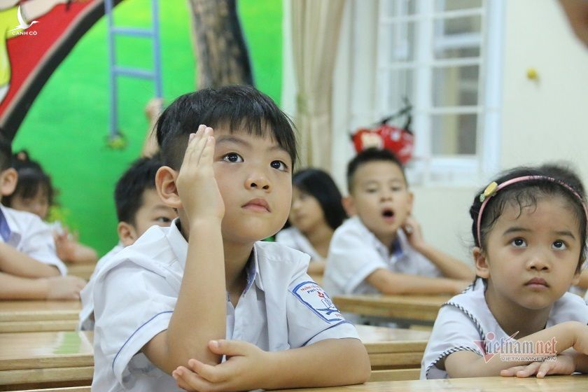 Việt Nam đứng đầu Đông Nam Á về đánh giá kết quả học tập bậc tiểu học