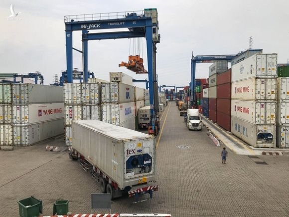 Chuyện khó tin: Xuất khẩu nông sản Việt giảm hơn một nửa vì thiếu... container - Ảnh 5.