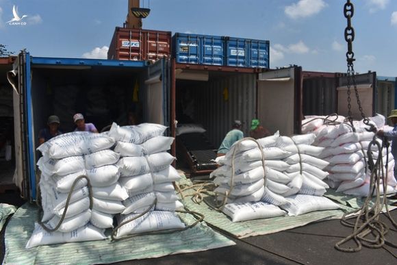 Chuyện khó tin: Xuất khẩu nông sản Việt giảm hơn một nửa vì thiếu... container - Ảnh 3.