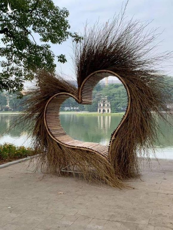 Sự thật về ‘trái tim lông’ ở Hồ Gươm - ảnh 1