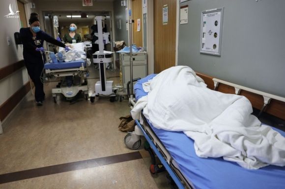 Một bệnh nhân nằm trên cáng ở hành lang tại Trung tâm Y tế Providence St Mary, Thung lũng Apple, California. Ảnh: AFP