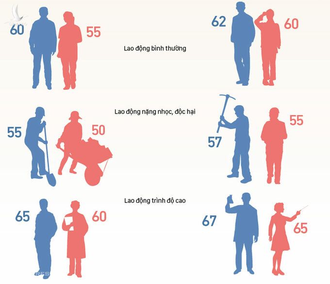 Lộ trình tăng tuổi nghỉ hưu từ 2021 (Clickvào đâyđể xem chi tiết). Đồ họa:Việt Chung