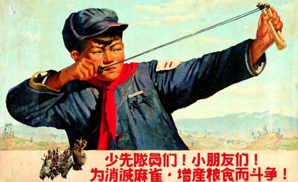 Liên Xô từng cứu Trung Quốc bằng… chim sẻ - ảnh 2