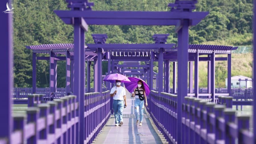 Hầu hết du khách đến bằng phà và sau đó đi bộ qua cây cầu màu tím này để vào thị trấn.