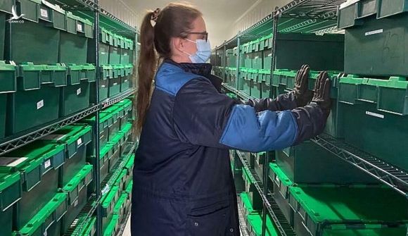 Tủ đông tại Viện Sanger đưu trữ hàng nghìn mẫu nCoV. Ảnh: CNN.