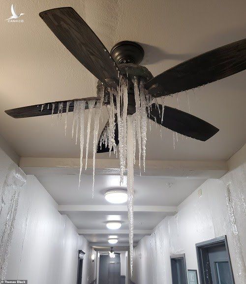 Quạt trần đóng băng ở một tòa chung cư ở Dallas (bang Texas). Ảnh: Thomas Black