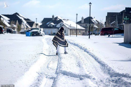 Tuyết phủ trắng Pflugerville (bang Texas). Ảnh: Reuters