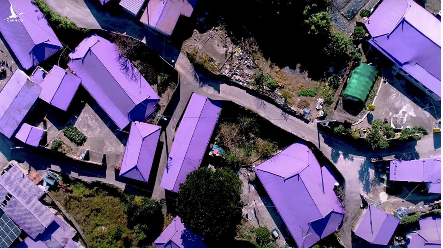 Những mái nhà được sơn màu tím.