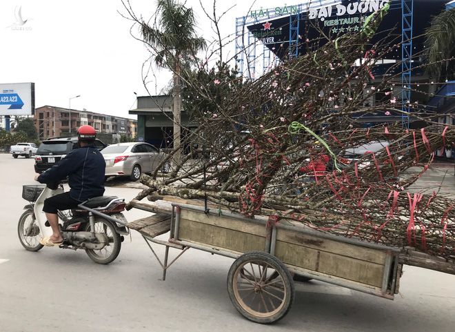 Kiếm tiền triệu mỗi ngày nhờ chuyển Tết đến mọi nhà những ngày cuối năm - Ảnh 6.