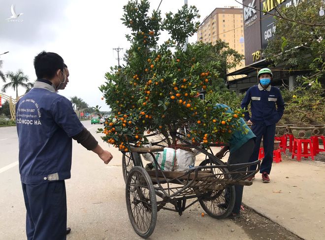 Kiếm tiền triệu mỗi ngày nhờ chuyển Tết đến mọi nhà những ngày cuối năm - Ảnh 5.