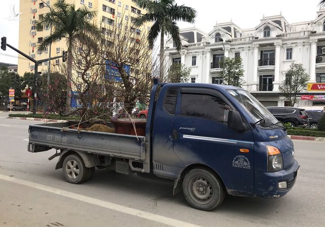 Kiếm tiền triệu mỗi ngày nhờ chuyển Tết đến mọi nhà những ngày cuối năm - Ảnh 9.