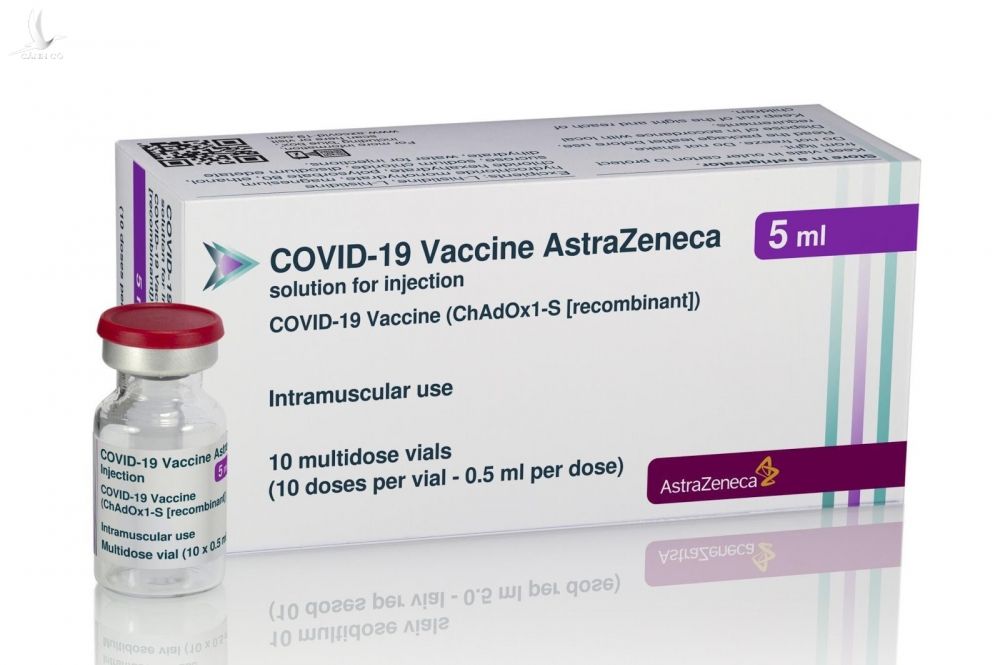 Vắc xin Covid-19 đã chính thức về Việt Nam - Ảnh 2.