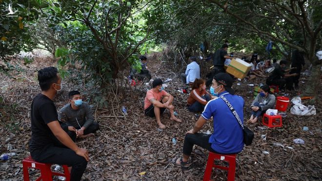 Phá sòng bạc 'khủng' trong vườn nhãn ở Tây Ninh, tạm giữ 39 người, thu giữ tiền tỉ - ảnh 3
