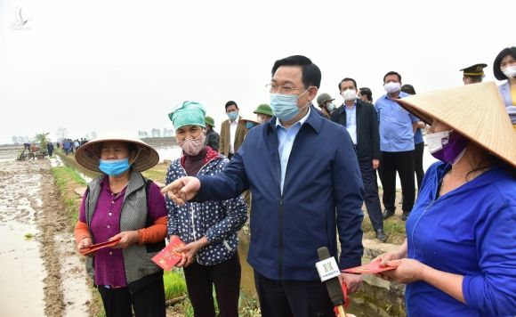 Bí thư Thành ủy Hà Nội Vương Đình Huệ thăm, động viên bà con nông dân xã Dị Nậu, huyện Thạch Thất, triển khai vụ Xuân năm 2021.