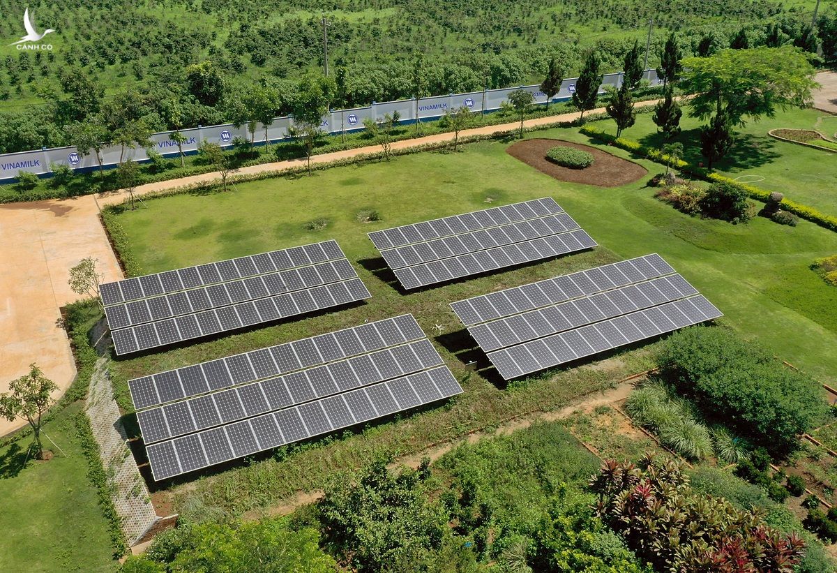Hệ thống năng lượng mặt trời tại trang trại Vinamilk Organic Đà Lạt. .
