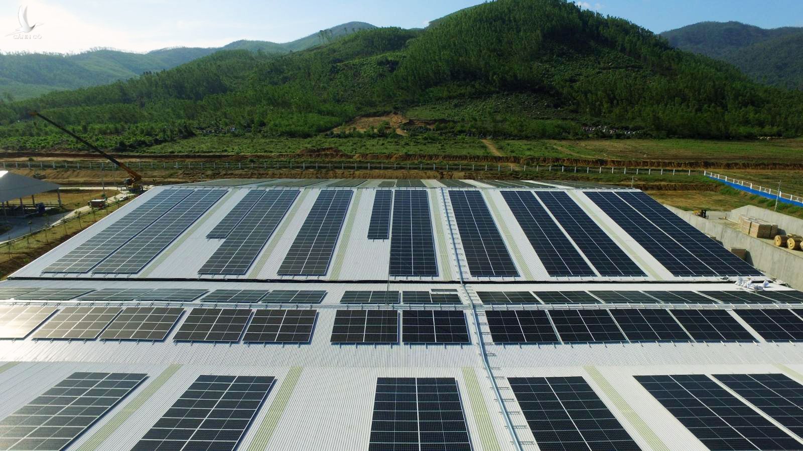 Dự kiến đến cuối 2021, hệ thống năng lượng mặt trời sẽ được Vinamilk triển khai trên tất cả 12 trang trại cả nước.
