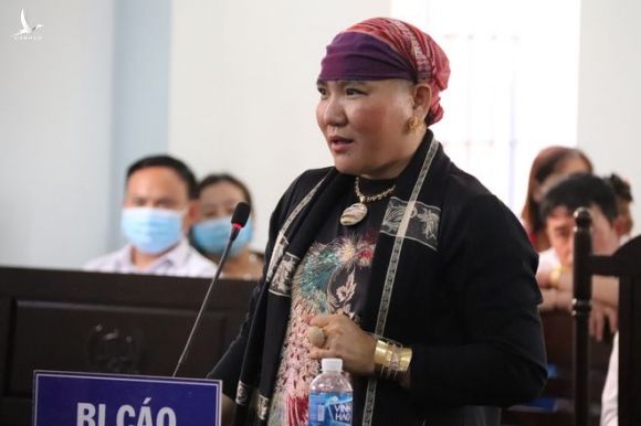 Trần Thị Ngọc Nữ bị tuyên 9 tháng tù về tội gây rối trật tự công cộng - ảnh 1