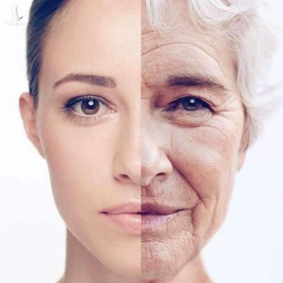 Một loại thuốc ngăn chặn quá trình lão hóa và trẻ hóa cơ thể có thể ra mắt sau 5 đến 10 năm nữa /// Ảnh minh họa: Shutterstock