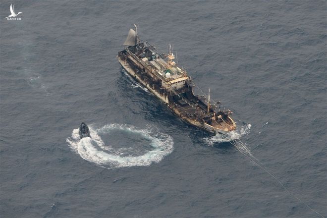 'Đại ngư thuyền' Trung Quốc đánh cá, tàn phá biển và bá quyền đại dương - 1