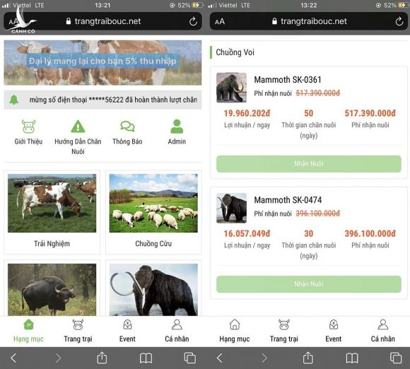 App “trang trại bò Úc” được mở ra sau khi “trang trại tiết kiệm” bị sập với giao diện giống nhau /// ẢNH CHỤP MÀN HÌNH