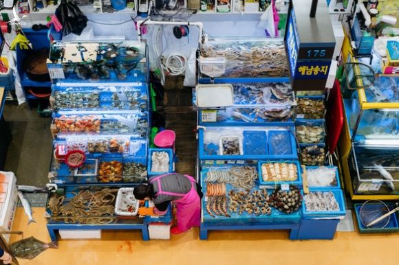 Nhà buôn cá Hàn phản đối Nhật xả 1 tỉ tấn nước thải Fukushima ra biển - Ảnh 1.