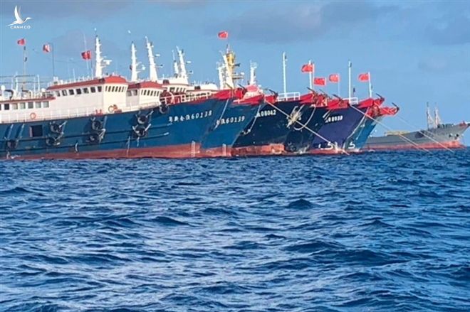 'Đại ngư thuyền' Trung Quốc đánh cá, tàn phá biển và bá quyền đại dương - 5