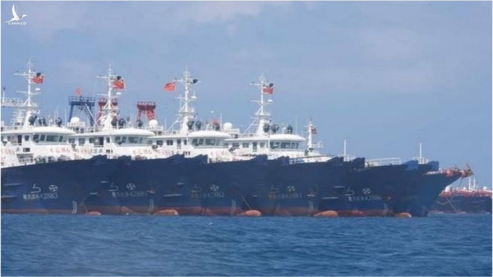 Hình ảnh các tàu đánh cá Trung Quốc ở khu vực giữa và Nam Biển Đông được ghi nhận hồi đầu tháng 5/2021.
