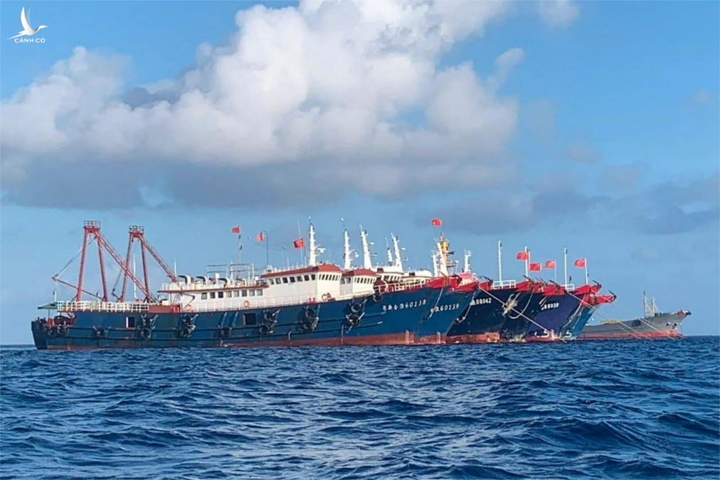 Hình ảnh các tàu Trung Quốc do NTF-WPS cung cấp.
