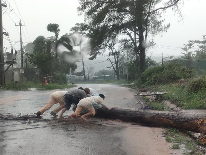 CSGT Đắk Nông cùng người dân dọn dẹp cây bị gãy đổ chắn ngang đường