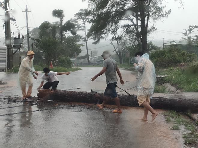 CSGT Đắk Nông cùng người dân dọn dẹp cây bị gãy đổ chắn ngang đường