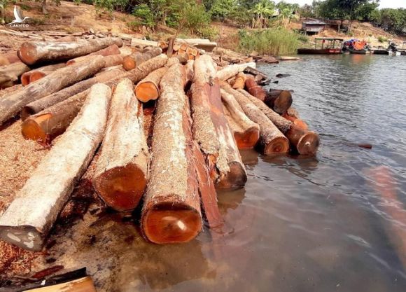  Vụ gỗ lậu dưới sông: Hiện trường bị đốt cháy ngùn ngụt, báo cáo lạ của cán bộ huyện - Ảnh 1.