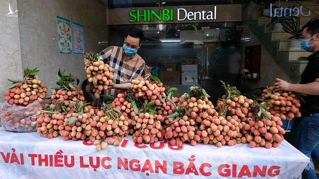 Vải thiều Bắc Giang được bán với giá 20.000 đồng/kg ở Thủ đô ảnh 3