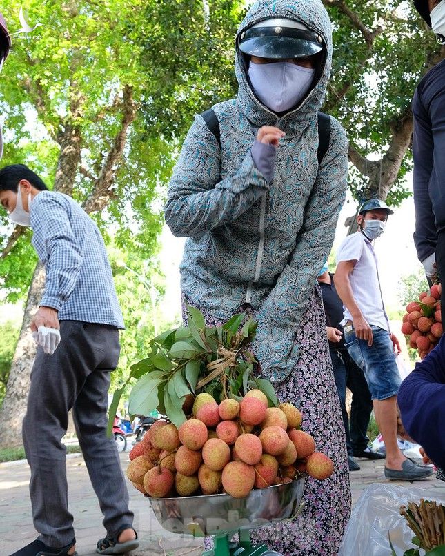 Vải thiều Bắc Giang được bán với giá 20.000 đồng/kg ở Thủ đô ảnh 9