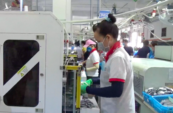Đề nghị dừng hoạt động 8 xưởng sản xuất của công ty đông lao động nhất Long An - Ảnh 1.