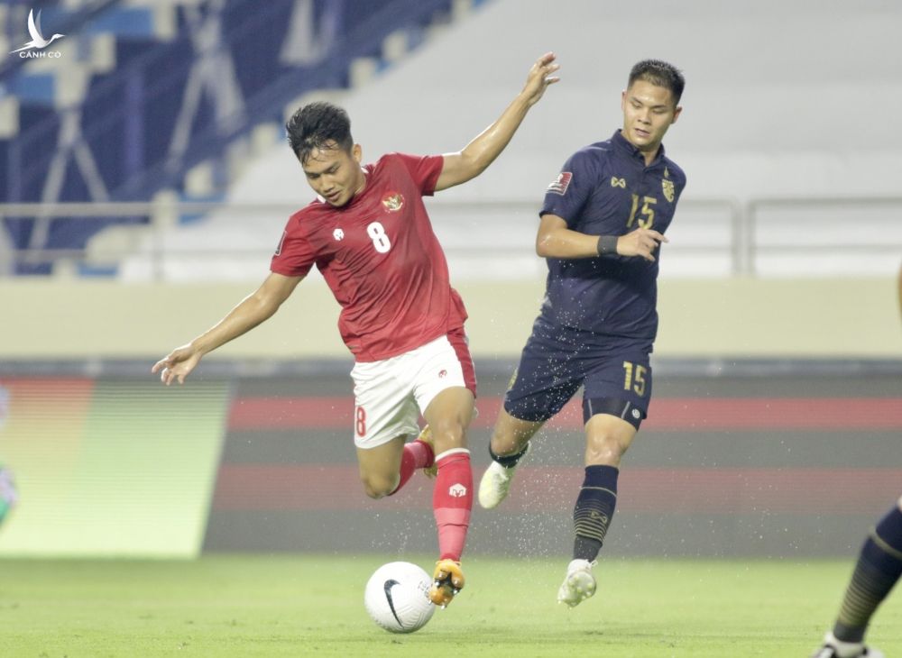 Báo Hàn hâm nóng trận Việt Nam vs Indonesia: Shin Tae-yong thắng Park Hang-seo 8/10 lần - ảnh 3