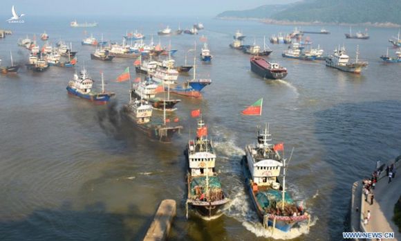 Trung Quốc tạm cấm tàu nước này bắt mực ở Thái Bình Dương, Đại Tây Dương - Ảnh 1.