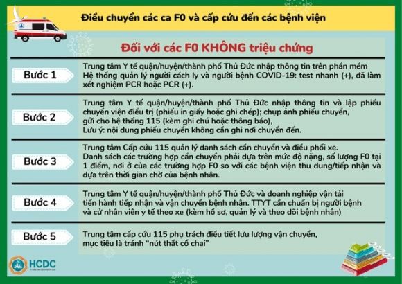 Sẽ có 'Tổ Y tế lưu động' chăm sóc F0? ảnh 1